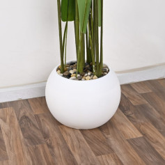 Paradise bird leaf tree with white plastic basin 150 cm long