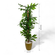 Artificial bamboo tree with dark gold pot, 150cm tall