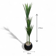170cm Artificial Cactus Tree Assorted Colors