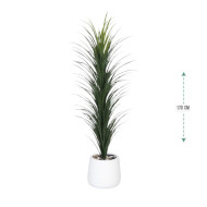 170cm tall fiberglass tub cactus in white