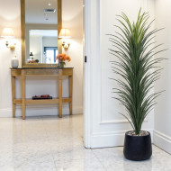 170cm tall black fiberglass cactus plant