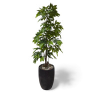 شجرة المانجو الصناعية الفاخرة - ارتفاع 220 سم بمركن باللون الاسود 