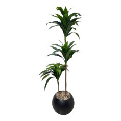 شجرة الذرة الصناعية الفاخرة - ارتفاع 160 سم: مركن باللون الاسود