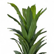 Artificial pearl tree with broad leaves and a brown cylindrical basin