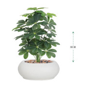 شتلة ياسمين اصطناعية ( ارتفاع 100 سم ) حوض فيبر بعدة اللوان