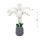 شتلة أوركيد اصطناعية ( ارتفاع 75 سم ) حوض بلاستيك بعدة اللوان