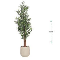 شجرة زيتون صناعية ( ارتفاع 155 سم ) حوض بلاستيك بعدة اللوان 