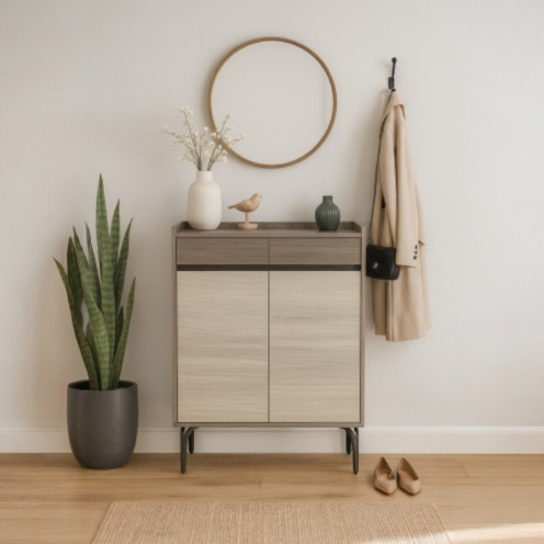 دولاب، أحذية بابين تخزين بتصميم حديث وانيق خشب