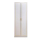 Luxurious and Modern 2-Door Wardrobe in White and Gold