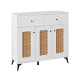Three-door multi-purpose cabinet with rattan mesh fronts, available in various colors, measuring 100 x 35 x 95 cm.