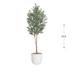 Artificial olive tree (220 cm tall), plastic pot in various colors