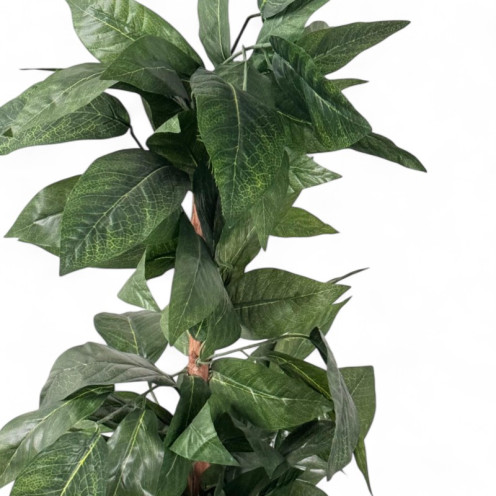 شجره صناعيه خضراء بجذع غليظ واوراق متوسطه الحجم وحوض بلاستيك ابيض شجره صناعيه خضراء بجذع غليظ واوراق متوسطه الحجم وحوض بلاستيك ابيض
