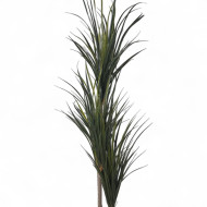 A cactus tree with three branches of varying sizes, with slender leaves and a gray pot dotted with white.