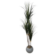 A cactus tree with three branches of varying sizes, with slender leaves and a gray pot dotted with white.