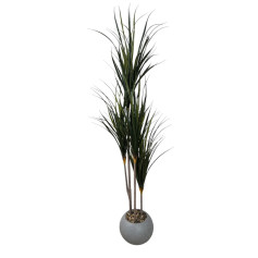 A cactus tree with three branches of varying sizes, with slender leaves and a gray pot dotted with white.