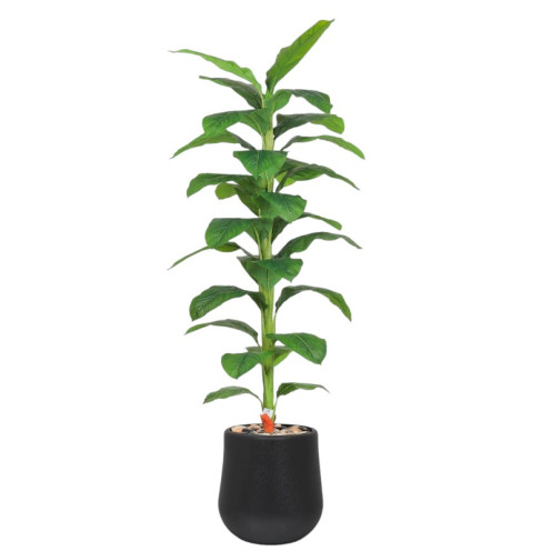 Artificial tropical plant with large leaves and a 210cm tall plastic pot.