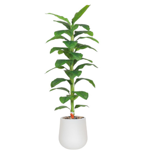 Artificial tropical plant with large leaves and a 210cm tall plastic pot.