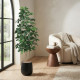 Luxury Artificial Jasmine Leaf Tree – A Natural Touch Without the Effortless Maintenance, Black, 150cm Tall