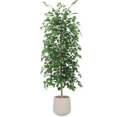 A tall artificial ficus tree with lush green leaves in a light-colored plastic pot.