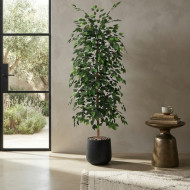 A tall artificial ficus tree with lush green leaves in a black plastic pot.