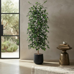 A tall artificial ficus tree with lush green leaves in a black plastic pot.