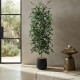 A tall artificial ficus tree with lush green leaves in a black plastic pot.