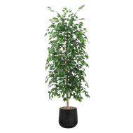 A tall artificial ficus tree with lush green leaves in a black plastic pot.
