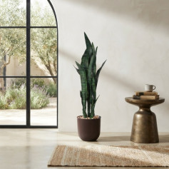 Luxury Cactus Tree (5 Branches) – A Modern Touch of Nature for Your Home and Office, 95cm Tall, Brown