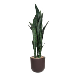 Luxury Cactus Tree (5 Branches) – A Modern Touch of Nature for Your Home and Office, 95cm Tall, Brown