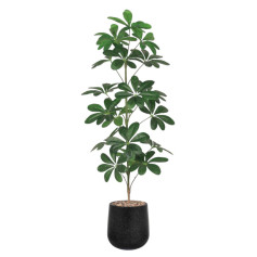 Artificial Schefflera Tree in a Stylish Black Pot, 135 cm Tall