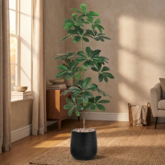 Artificial Schefflera Tree in a Stylish Black Pot, 135 cm Tall