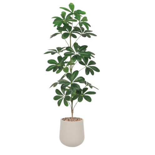 Artificial Schefflera Tree in a Stylish Black Pot, 135 cm Tall