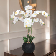 Artificial black orchid with 6 branches in a plastic pot, 75 cm tall.