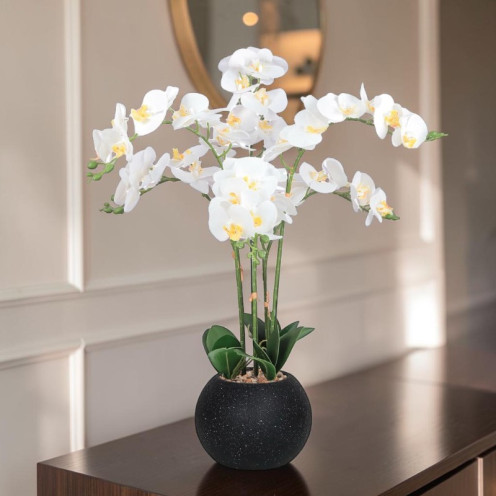 Artificial black orchid with 6 branches in a plastic pot, 75 cm tall.