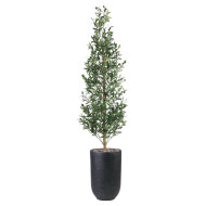 A tall, natural-looking artificial olive tree in a black fiberglass pot.