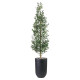A tall, natural-looking artificial olive tree in a black fiberglass pot.