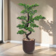 Artificial bonsai tree in a modern brown pot, 105 cm tall.