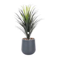 Gray plastic cactus pot