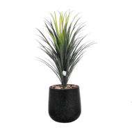 Black plastic cactus pot
