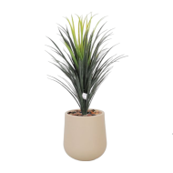 Cactus pot in a medium-sized plastic pot, beige
